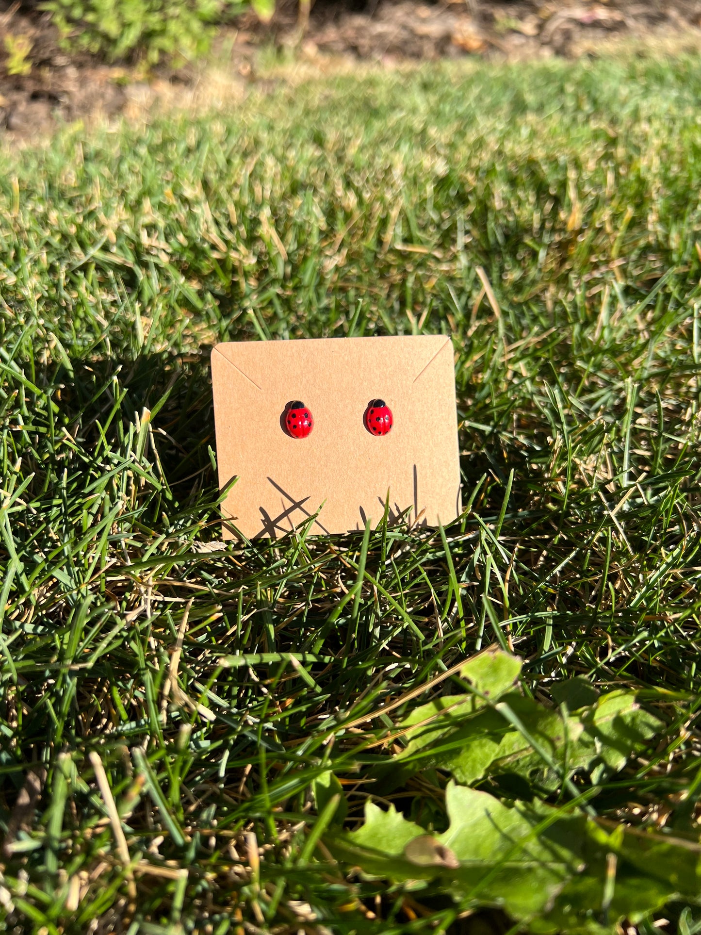 Ladybug Studs