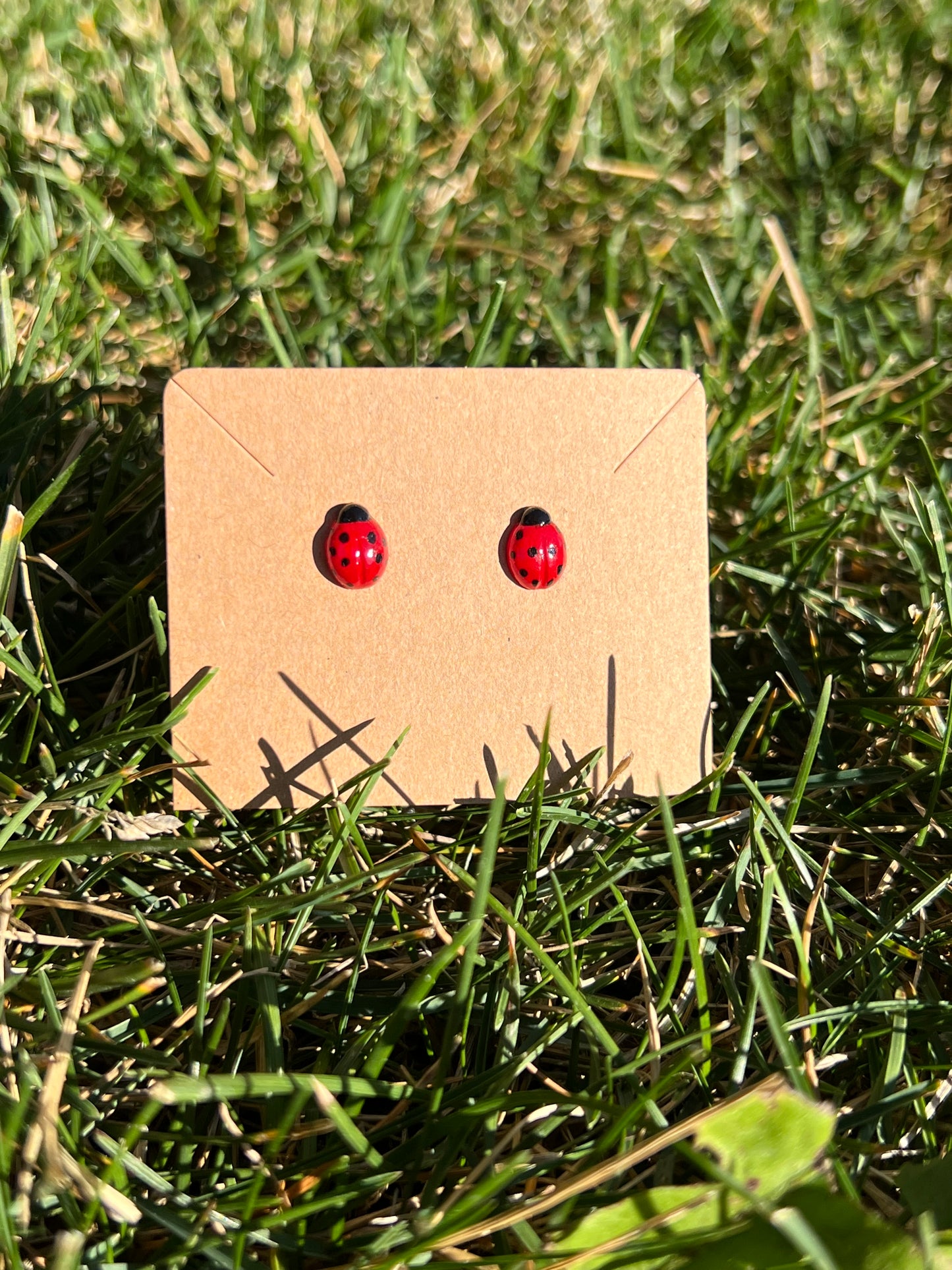 Ladybug Studs