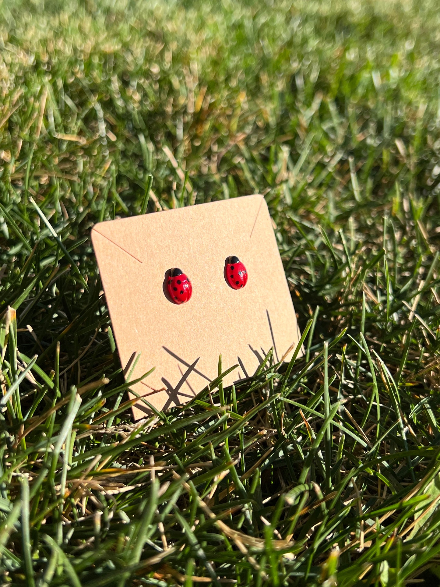 Ladybug Studs